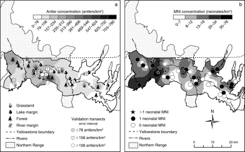 Antler and neonatal bone concentrations within the study area (Miller 2012)